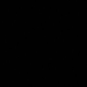 Meet your Posher, Anayeli